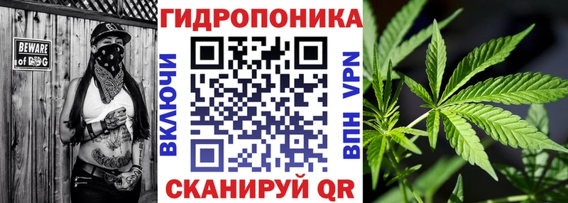 Каннабис планчик  Арамиль 